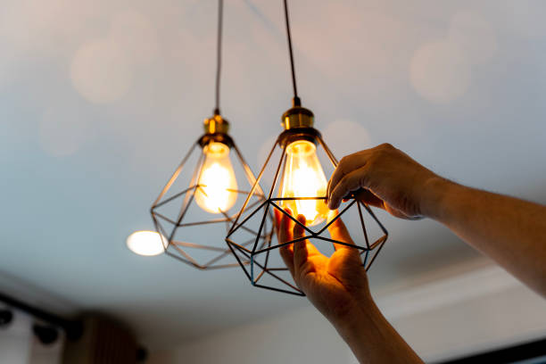 Best Electrician for Home Renovation  in Silver Lake, NC